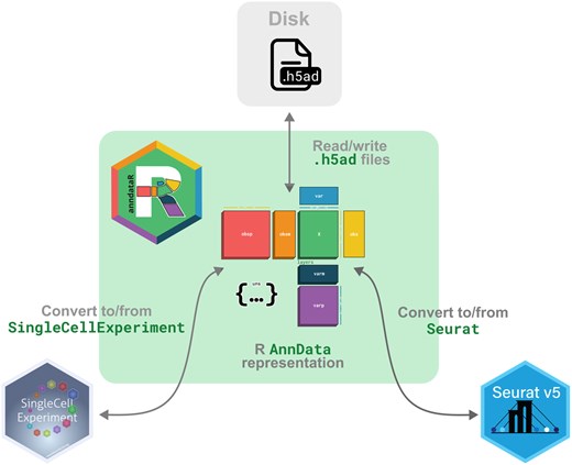 anndataR graphical abstract